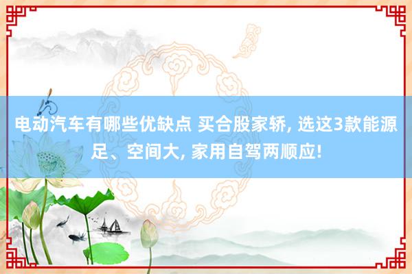 电动汽车有哪些优缺点 买合股家轿, 选这3款能源足、空间大, 家用自驾两顺应!