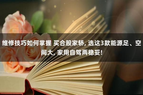 维修技巧如何掌握 买合股家轿, 选这3款能源足、空间大, 家用自驾两稳妥!