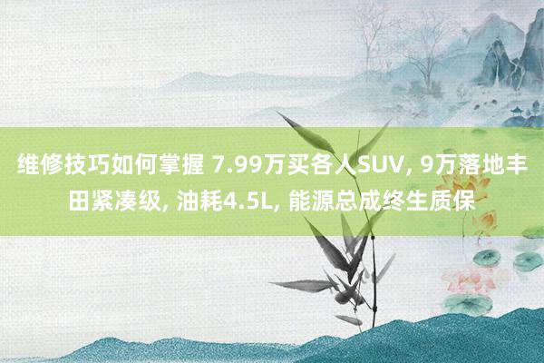 维修技巧如何掌握 7.99万买各人SUV, 9万落地丰田紧凑级, 油耗4.5L, 能源总成终生质保