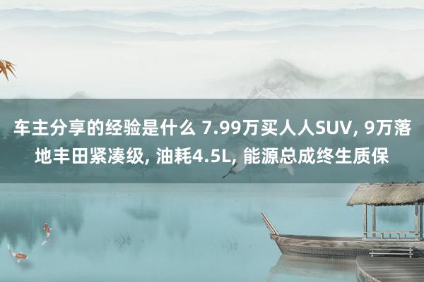 车主分享的经验是什么 7.99万买人人SUV, 9万落地丰田紧凑级, 油耗4.5L, 能源总成终生质保