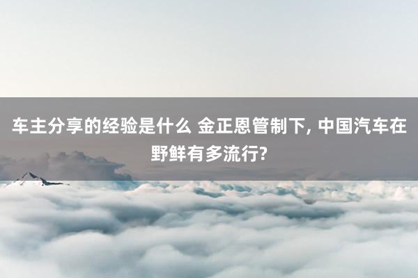 车主分享的经验是什么 金正恩管制下, 中国汽车在野鲜有多流行?