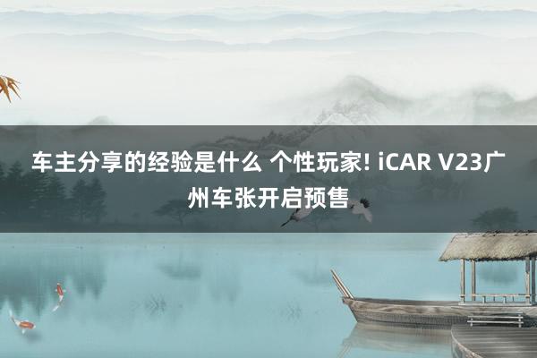 车主分享的经验是什么 个性玩家! iCAR V23广州车张开启预售