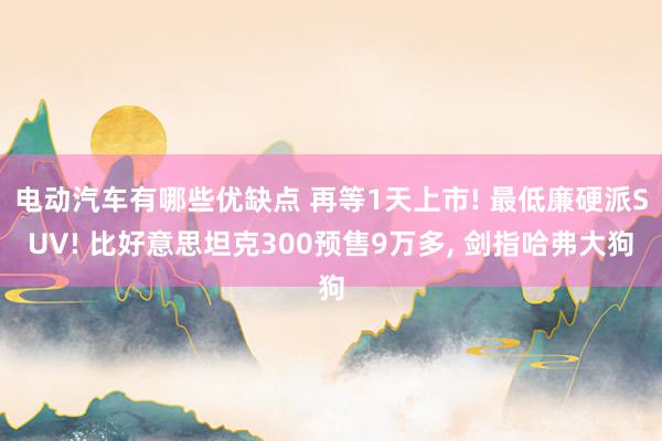 电动汽车有哪些优缺点 再等1天上市! 最低廉硬派SUV! 比好意思坦克300预售9万多, 剑指哈弗大狗