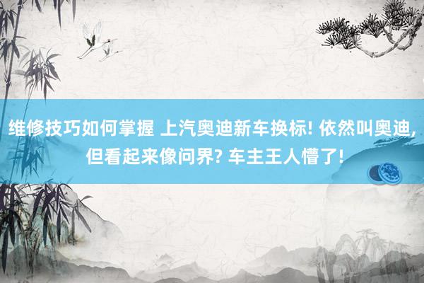 维修技巧如何掌握 上汽奥迪新车换标! 依然叫奥迪, 但看起来像问界? 车主王人懵了!