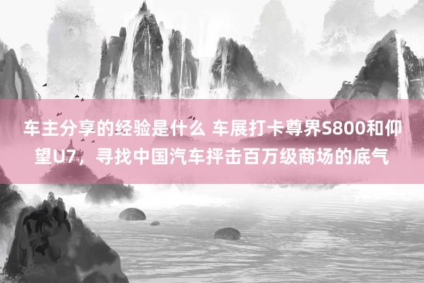 车主分享的经验是什么 车展打卡尊界S800和仰望U7，寻找中国汽车抨击百万级商场的底气