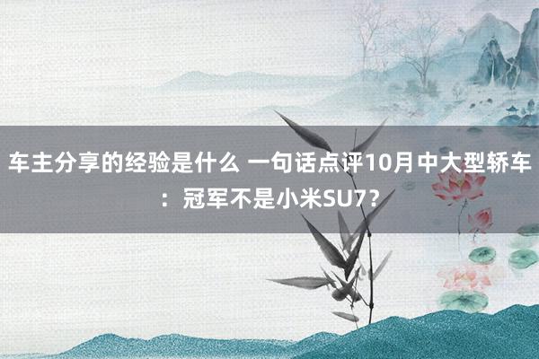 车主分享的经验是什么 一句话点评10月中大型轿车：冠军不是小米SU7？