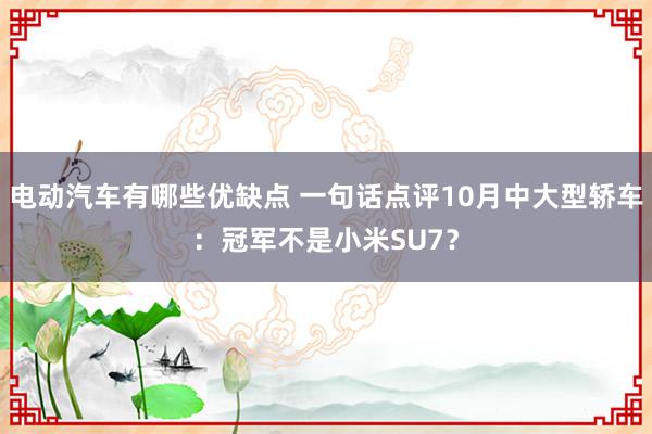 电动汽车有哪些优缺点 一句话点评10月中大型轿车：冠军不是小米SU7？