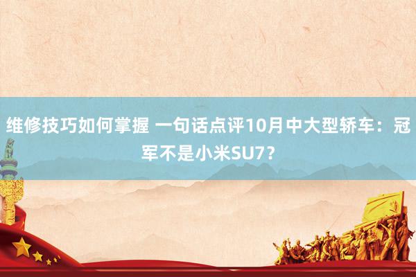 维修技巧如何掌握 一句话点评10月中大型轿车：冠军不是小米SU7？