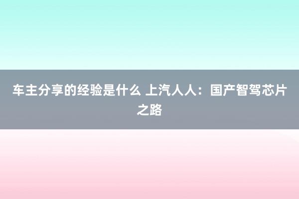 车主分享的经验是什么 上汽人人：国产智驾芯片之路