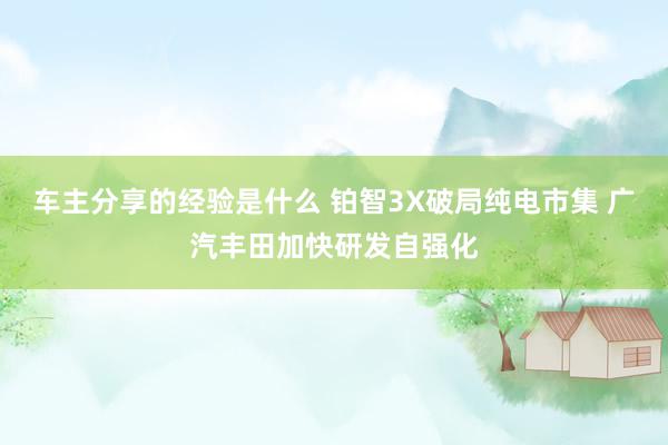 车主分享的经验是什么 铂智3X破局纯电市集 广汽丰田加快研发自强化