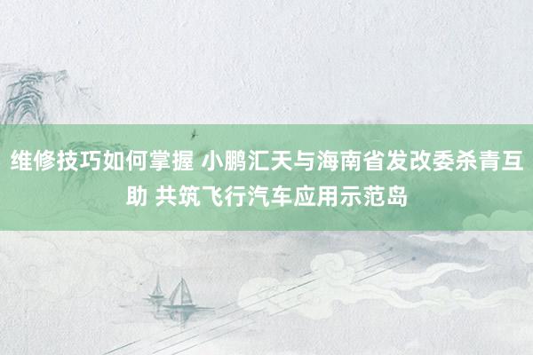 维修技巧如何掌握 小鹏汇天与海南省发改委杀青互助 共筑飞行汽车应用示范岛