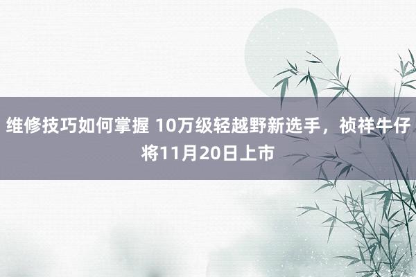 维修技巧如何掌握 10万级轻越野新选手，祯祥牛仔将11月20日上市