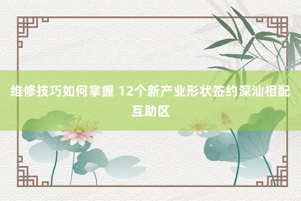 维修技巧如何掌握 12个新产业形状签约深汕相配互助区