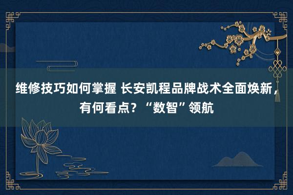 维修技巧如何掌握 长安凯程品牌战术全面焕新，有何看点？“数智”领航