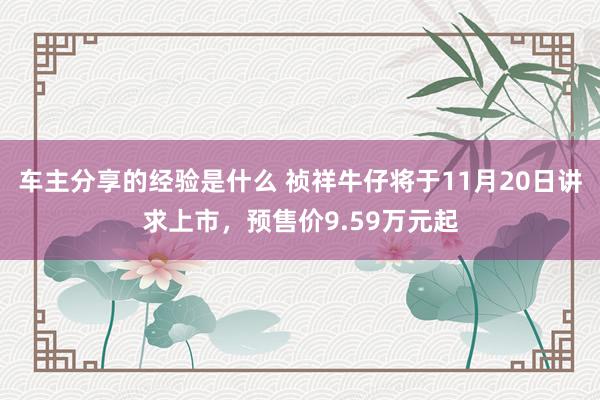 车主分享的经验是什么 祯祥牛仔将于11月20日讲求上市，预售价9.59万元起