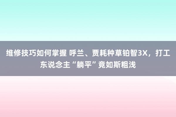 维修技巧如何掌握 呼兰、贾耗种草铂智3X，打工东说念主“躺平”竟如斯粗浅